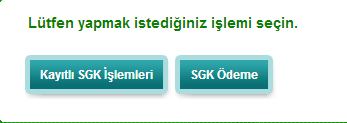 Resim