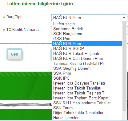 Resim