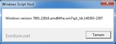 windows 7 sp1 version numarası