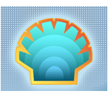 classic shell