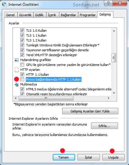 http_1.1_kullan