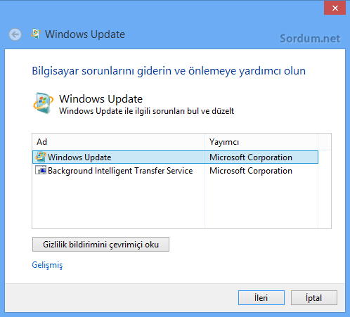 windows update sorun giderici