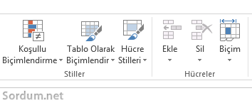 excelde ekle ve sil kullanılamıyor