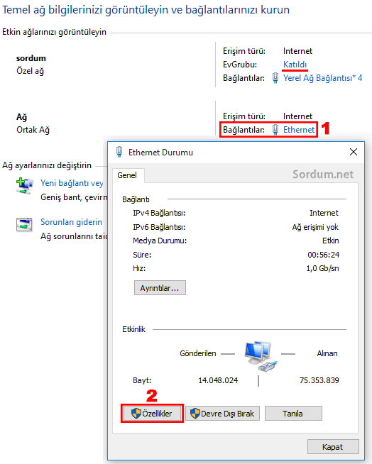 Etherneti paylaşıma aç