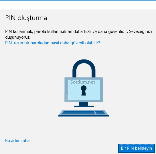Pin belirle