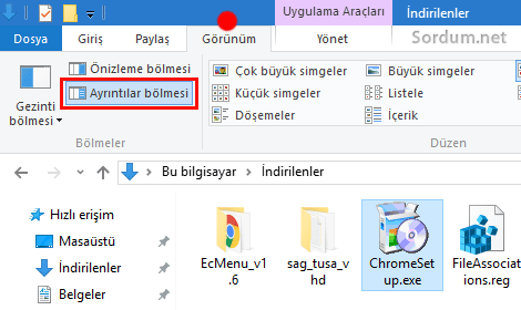 Ayrıntılar bölmesi