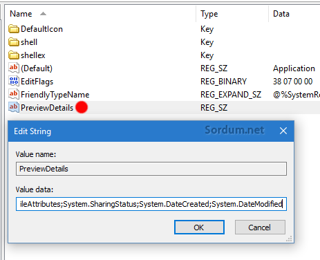preview details registry anahtarı