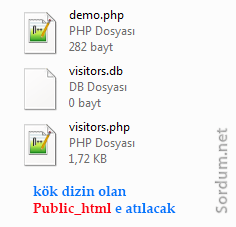 Kök dizine at