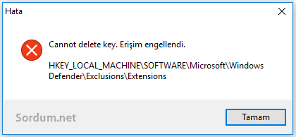 registry anahtarına erişim engellendi