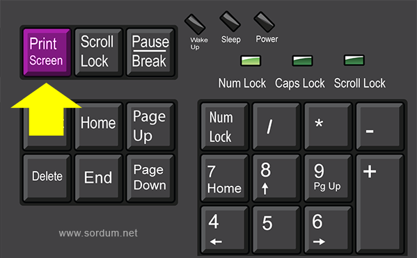 print screen tuşu