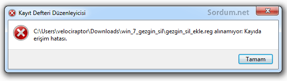 Registry ekleme hatası