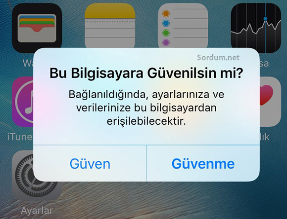 Bu bilgisyara güvenilsinmi