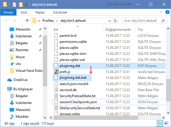 Firefox pluginreg