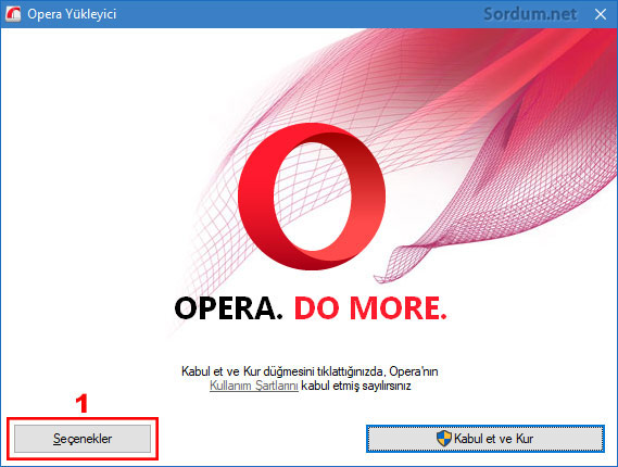 Opera kurulumunda Portable seçeneği