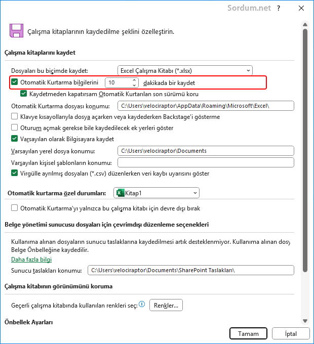 Excel seçenekleri