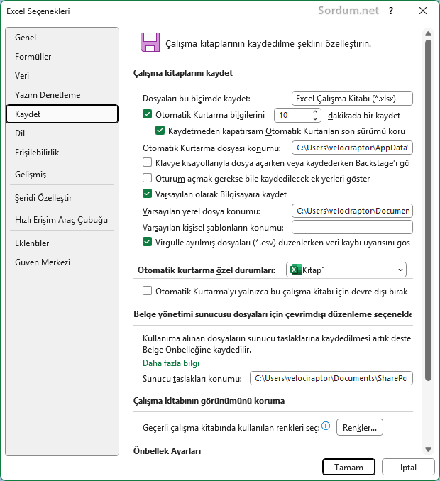 Excel kaydet seçeneği