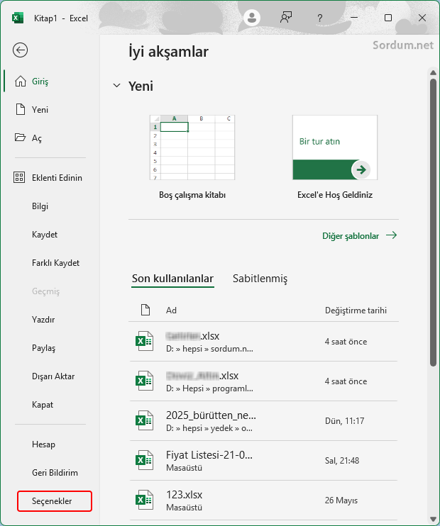 Excel dosya seçenekler menüsü