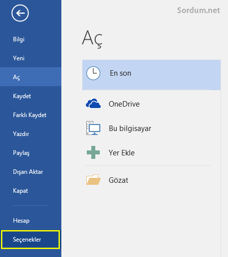 Word seçenekleri