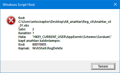 Registry silme hatası
