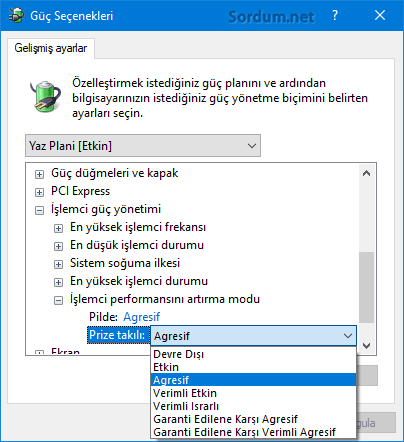 İşlemci performansını arttırma modu