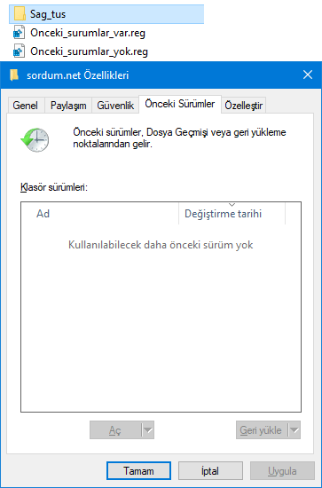 Önceki sürüm sekmesi
