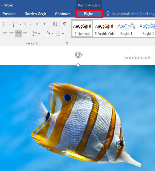 Word resim biçim menüsü
