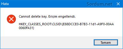 Registry yetki hatası