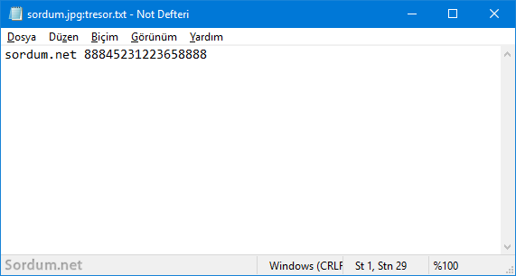 Resmin içine gizlenen yazı