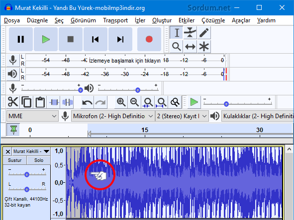 Audacity hassas seçim alanı