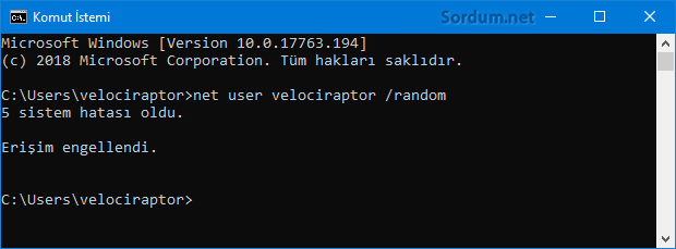 Rastgele şifre erişim hatası
