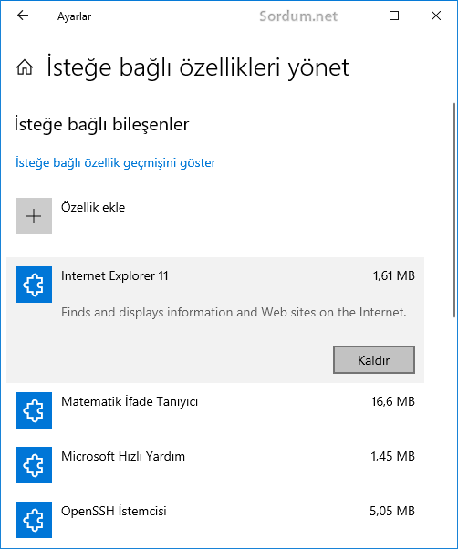 internet explorer nasıl kaldırılır
