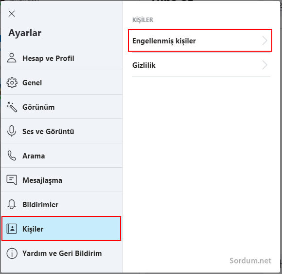 skype kişiler
