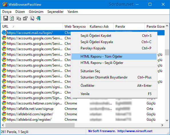 webbrowserpassview html raporu