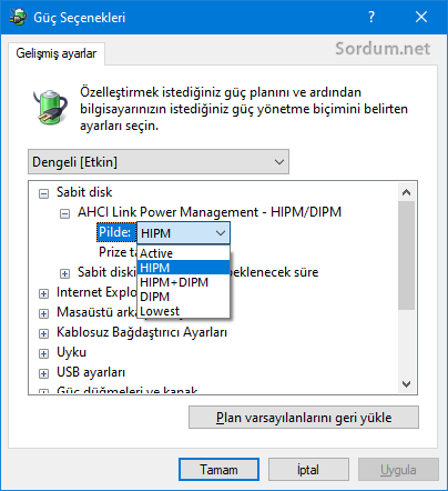 Güç yönetimine AHCI Link Power management ilavesi