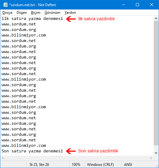 Vbs ile ilk ve son satıra yazdır
