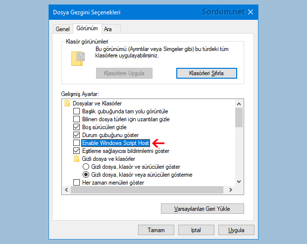Enable windows script host