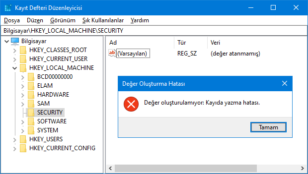 Regedit yetki hatası