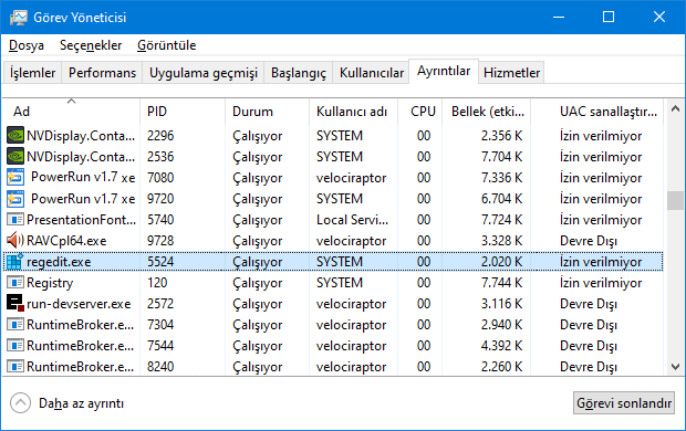 sistem yetki kontrolü