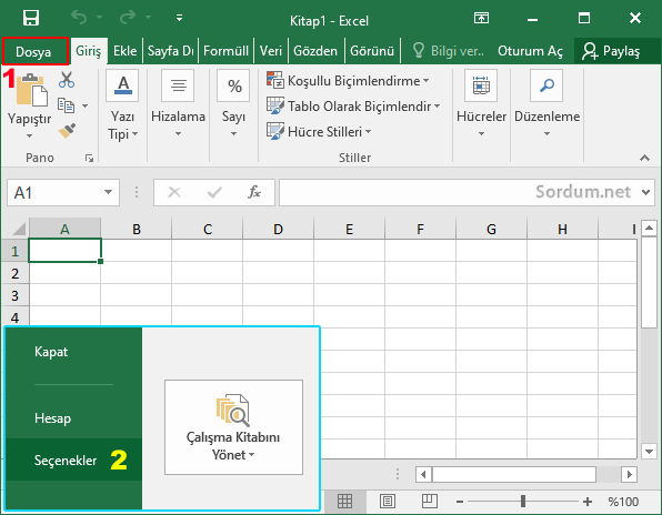 Excel Dosya seçenekleri