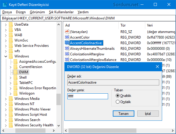 Başlık çubuğu Rengi registry değeri