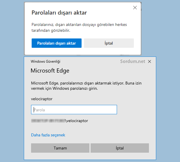 Edge parolaları dışa aktar şifre ekranı