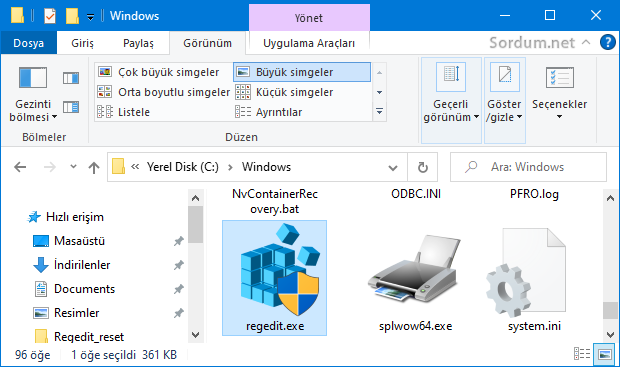 Regedit nerde