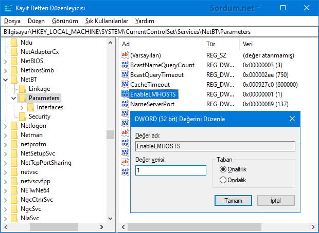 LMHOSTS araması registry değeri