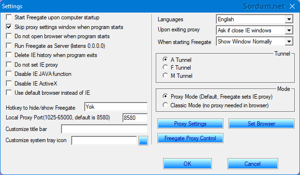 Freegate ayarları