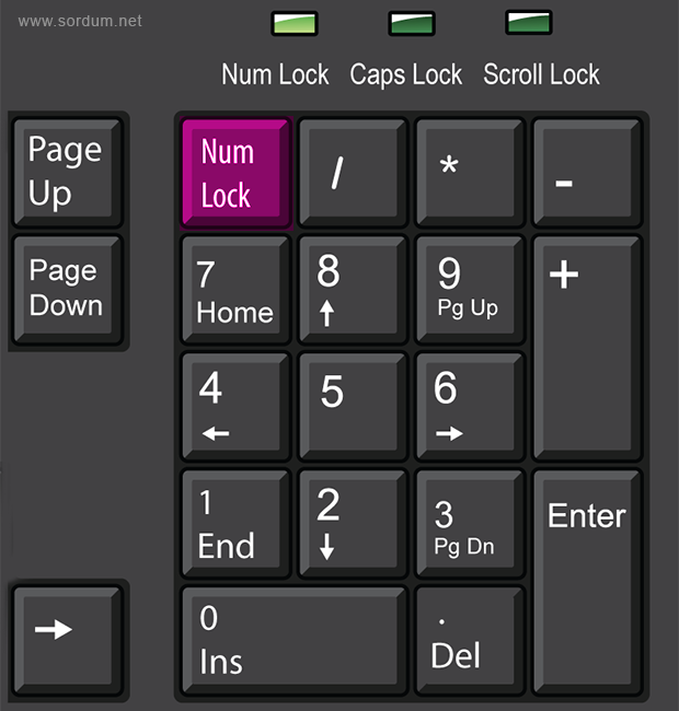 numpad nedir