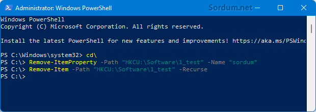 Powershell ile registry anahtarı sil