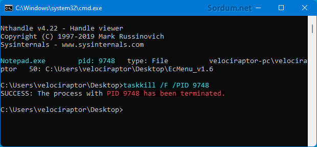 Silinmeyen dosyayı kullanan işlem sonladırıldı Silinmeyen dosyayı kullanan işlem sonladırıldı
