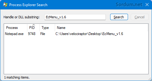 Process Explorer search Process Explorer search