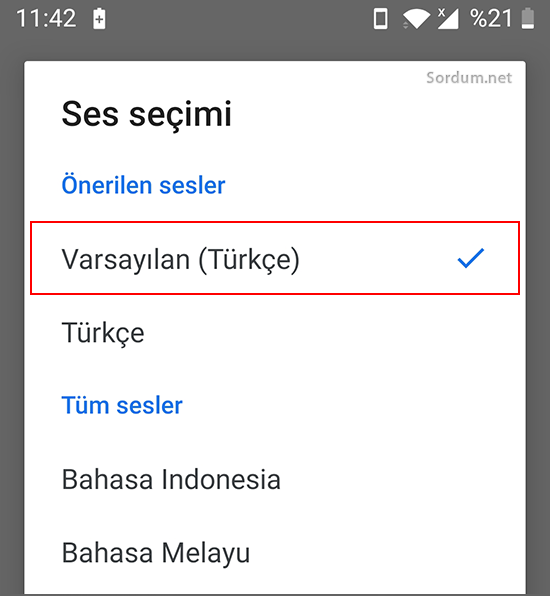 Google Maps ses seçimi