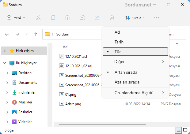 Dosyaları türe göre sırala Dosyaları türe göre sırala